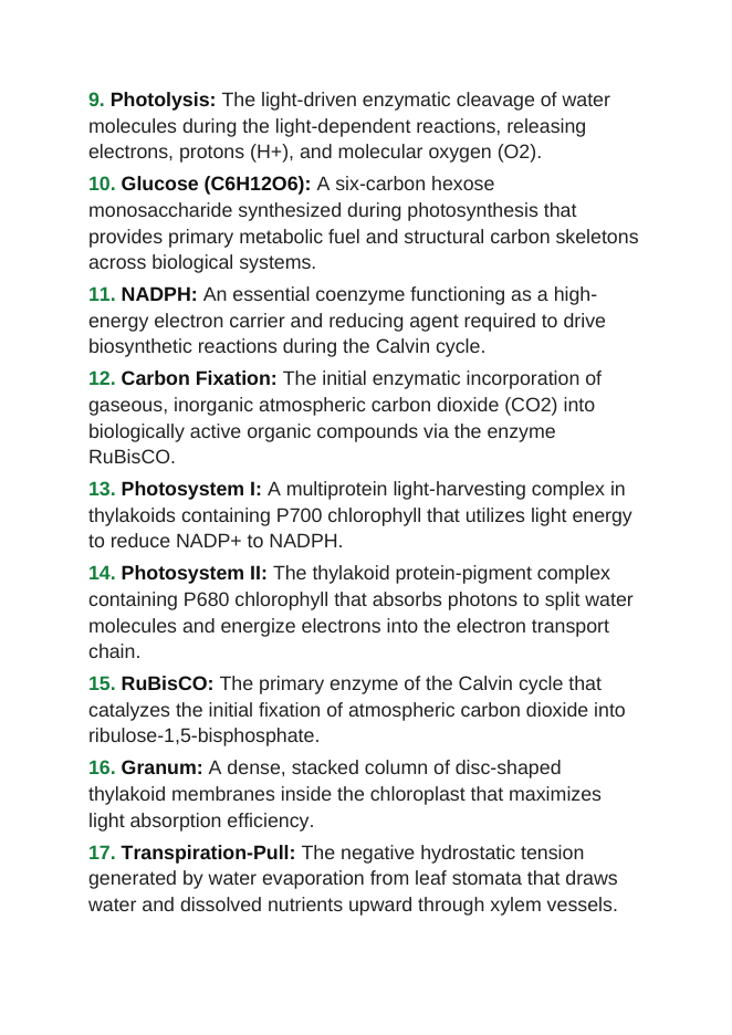 Photosynthesis Vocabulary Words & Definitions sample page
