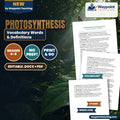 Photosynthesis Vocabulary Words & Definitions cover