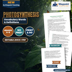 Photosynthesis Vocabulary Words & Definitions cover