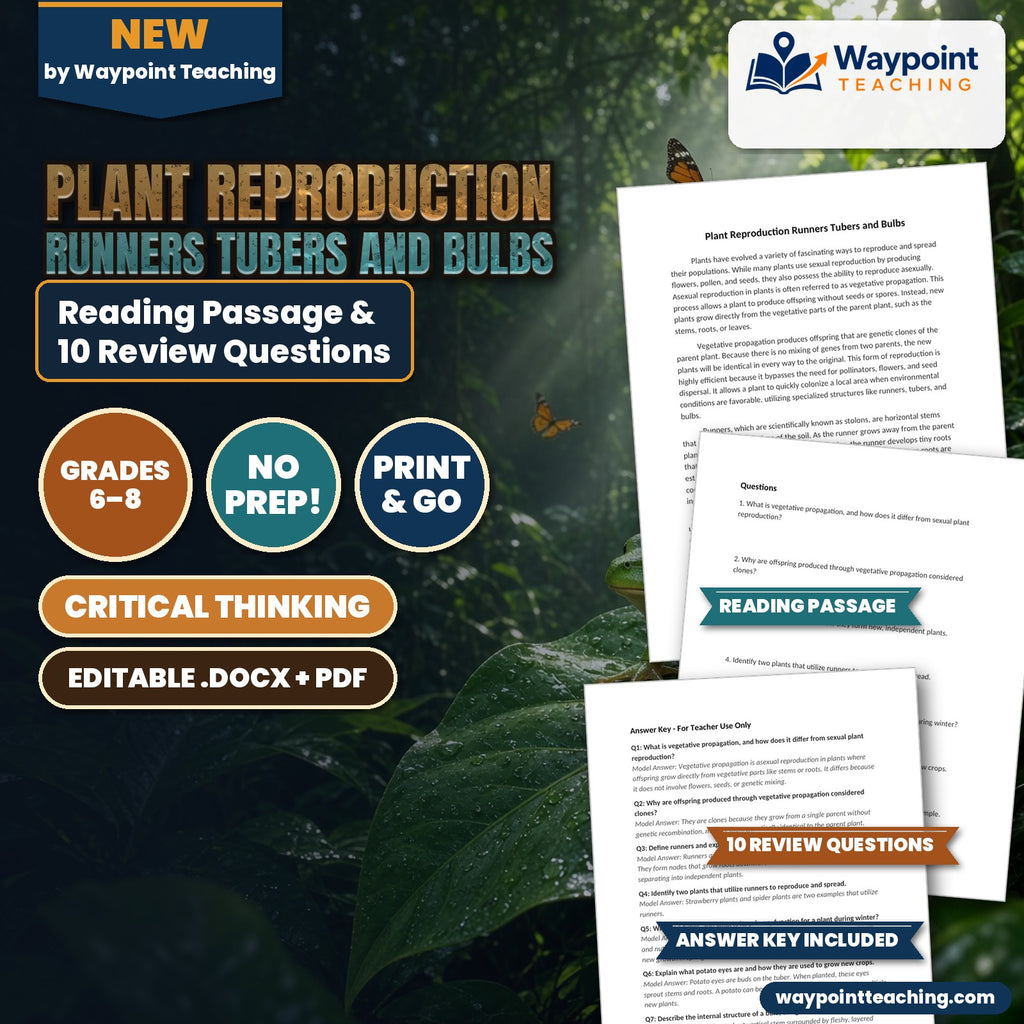 Plant Reproduction Runners Tubers and Bulbs Reading Worksheet cover