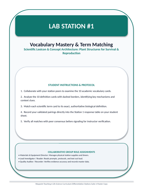 Plant Structures for Survival & Reproduction Differentiation Stations sample page