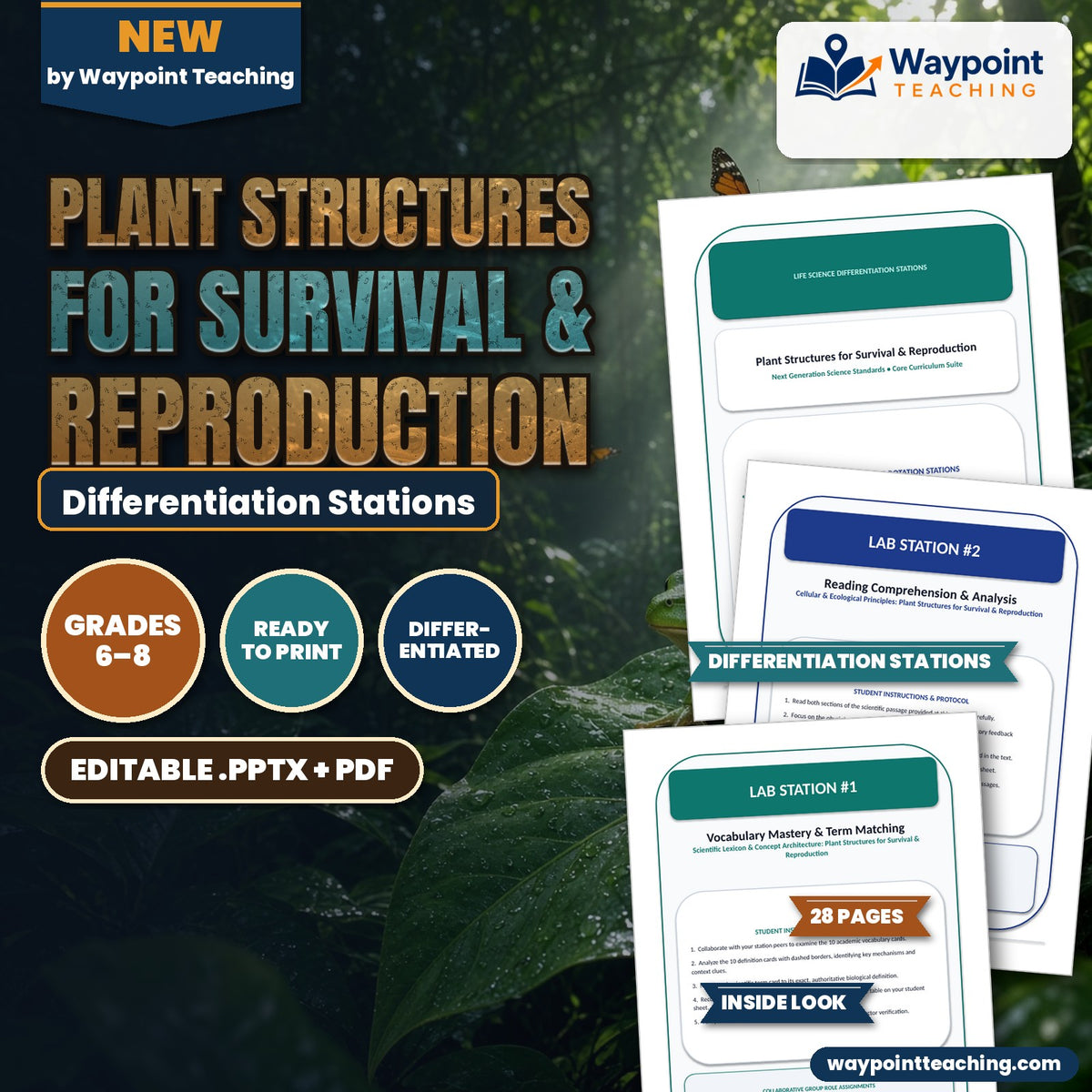 Plant Structures for Survival & Reproduction Differentiation Stations cover
