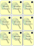 Plant Structures for Survival & Reproduction Trivia Board Game sample page