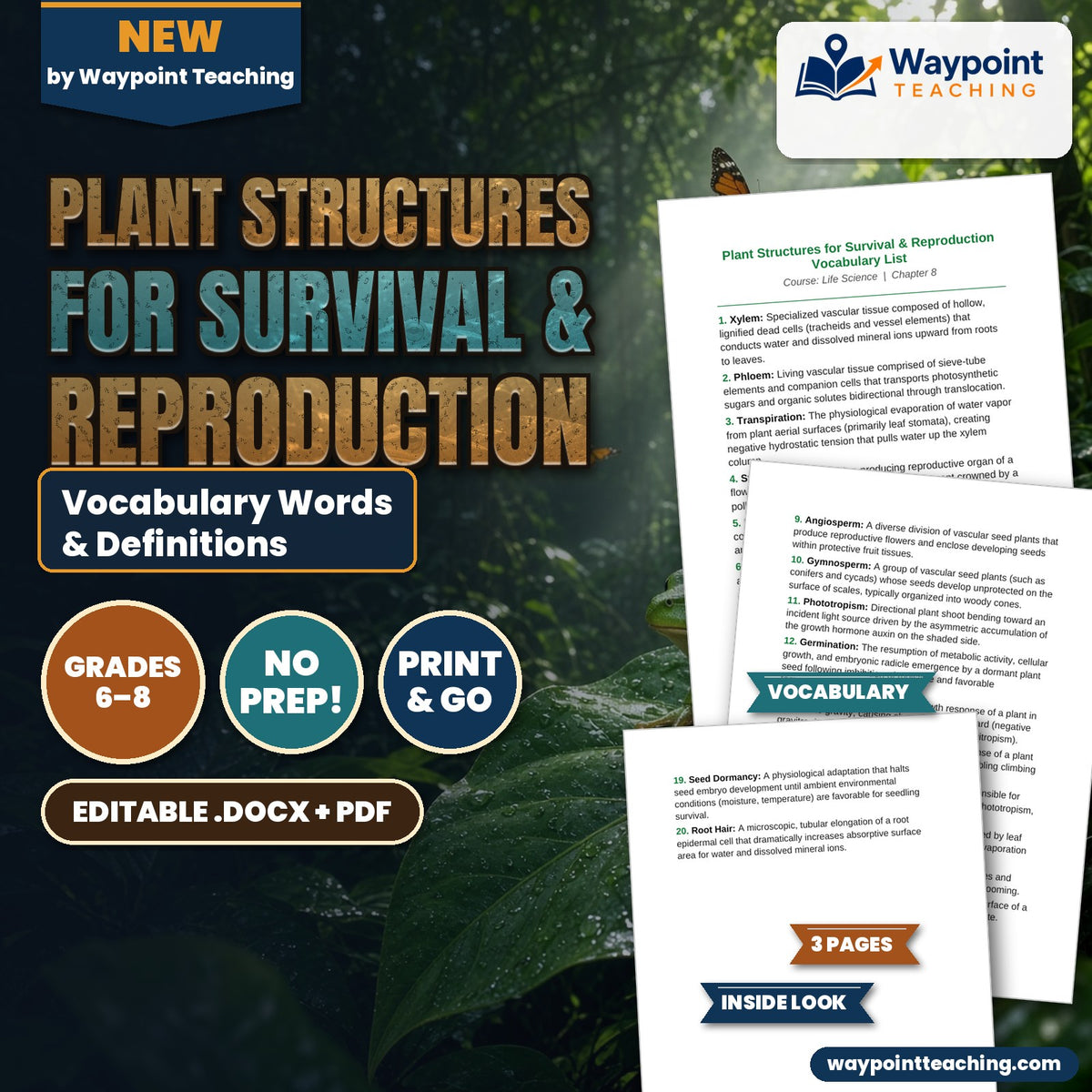 Plant Structures for Survival & Reproduction Vocabulary Words & Definitions cover