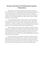 Reactants and Products of the Photosynthesis Equation Reading Worksheet sample page