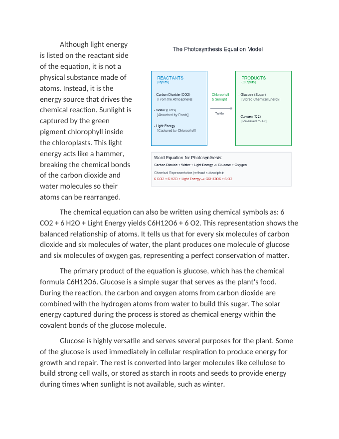 Reactants and Products of the Photosynthesis Equation Reading Worksheet sample page