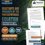 Reactants and Products of the Photosynthesis Equation Reading Worksheet cover