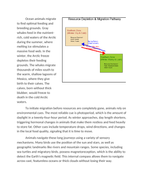 The Impact of Resource Depletion on Animal Migration Patterns Reading Worksheet sample page