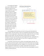 Designing a Chemical Hand Warmer: Optimizing Exothermic Heat Release Reading Worksheet sample page