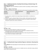 Endothermic & Exothermic Reactions Bell Ringers & Exit Tickets sample page