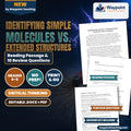 Identifying Simple Molecules vs. Extended Structures Reading Worksheet cover