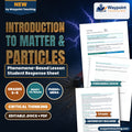 Introduction to Matter & Particles Phenomena-Based Lesson: Smoke Specks That Jiggle in Still Air Student Response Sheet cover