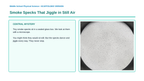 Introduction to Matter & Particles Scaffolded Phenomena-Based Lesson: Smoke Specks That Jiggle in Still Air Presentation sample page